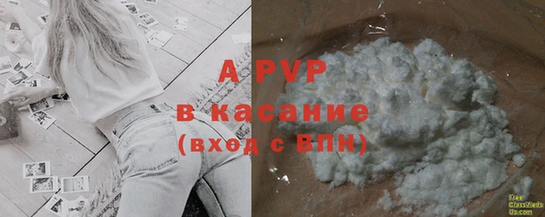 гашик Аркадак