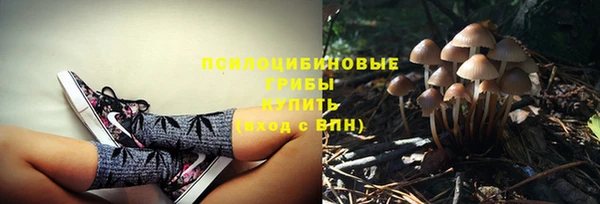 гашик Аркадак