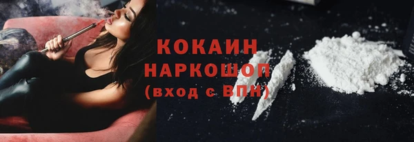 гашик Аркадак