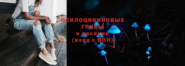 ПСИЛОЦИБИНОВЫЕ ГРИБЫ Надым