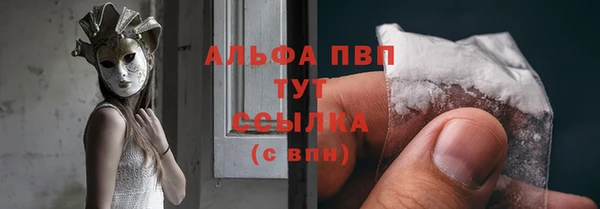 стафф Арсеньев