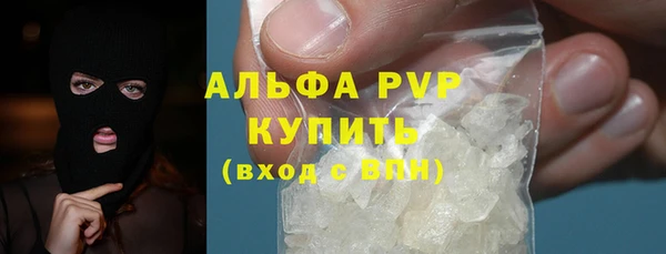 стафф Арсеньев