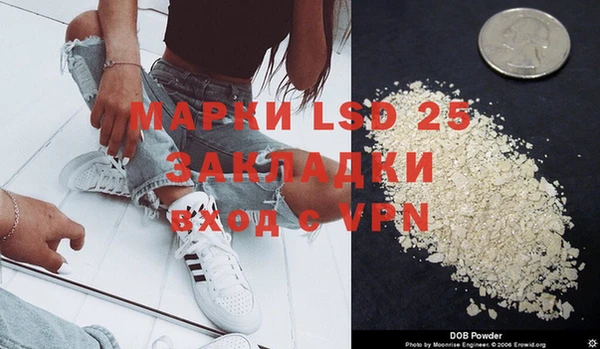 гашик Аркадак