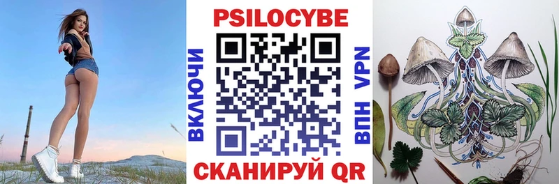 Псилоцибиновые грибы мицелий Пыталово