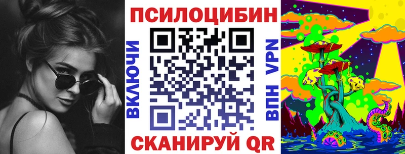 Псилоцибиновые грибы Psilocybe  Пыталово 